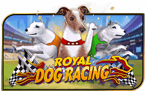 Royal Dog Racing