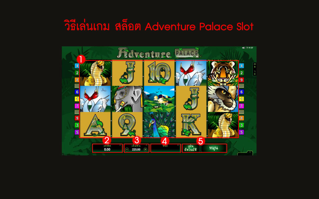 กฎกติกาวิธีเล่น สล็อต Adventure Palace Slot 