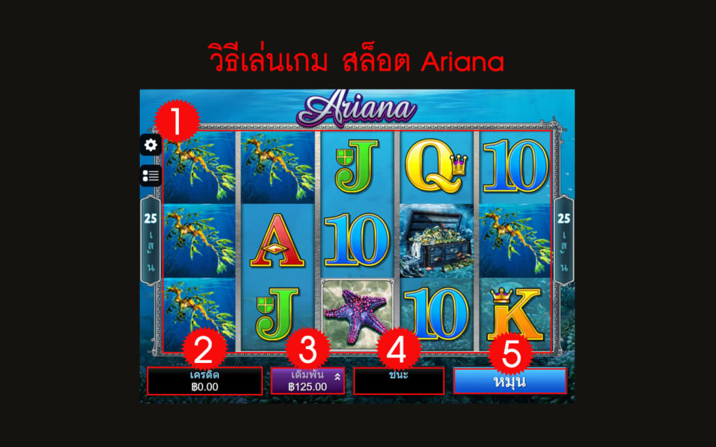 กฎกติกา วิธีเล่นสล็อต Ariana Slot