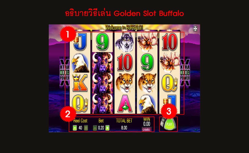 กฎกติกา วิธีเล่นเกม สล็อต Buffalo