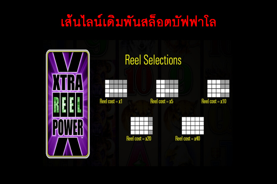 เส้นไลน์วางเดิมพัน Golden Buffalo Slot
