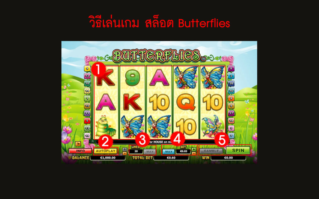 กฎกติกา วิธีเล่นสล็อต Butterflies Slot