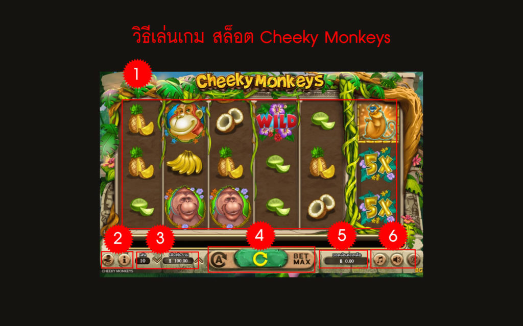 กฎกติกา วิธีเล่นเกมสล็อต Cheeky Monkeys 
