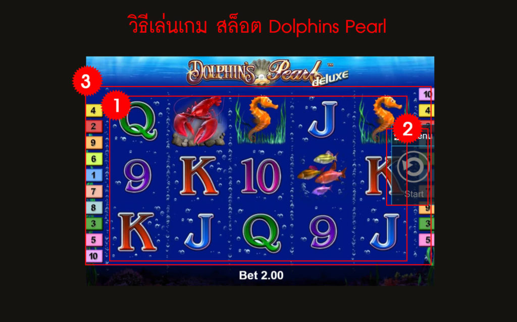 กฎกติกา วิธีเล่นเกม สล็อต Dolphins Pearl