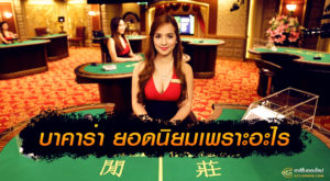 Gclub บาคาร่ายอดนิยมเพราะอะไร