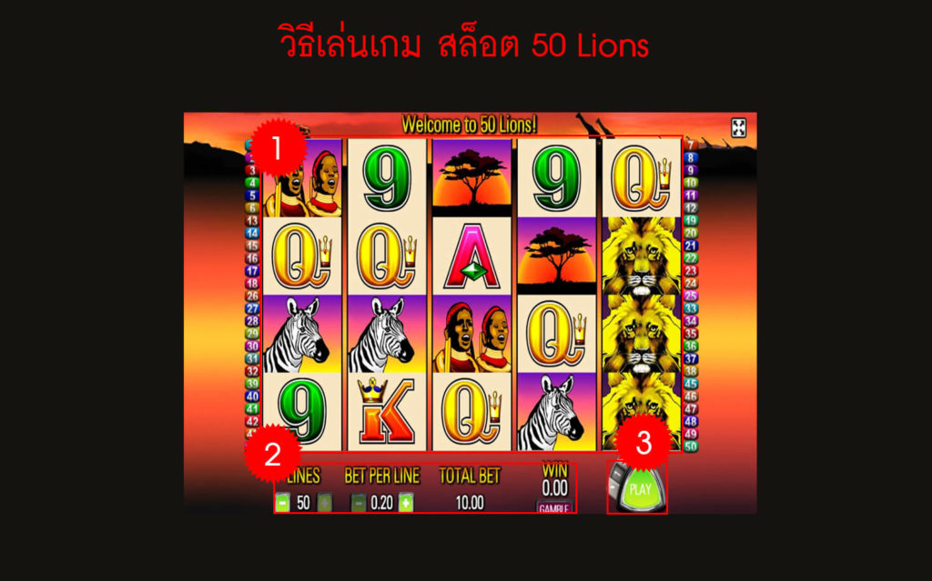 กฎกติกา วิธีเล่นเกม สล็อต 50 Lions