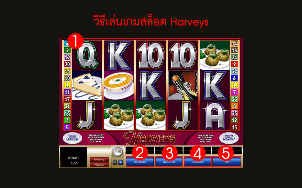 กฎกติกา วิธีเล่นสล็อต Harveys Slo