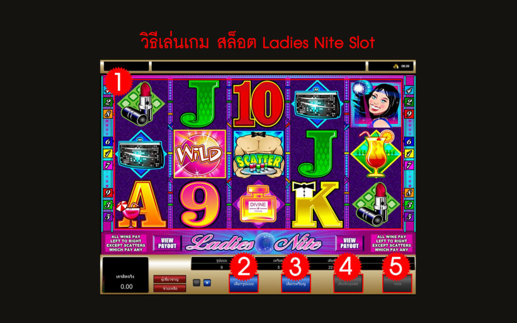 กฎกติกา วิธีเล่นสล็อต Ladies Nite Slot