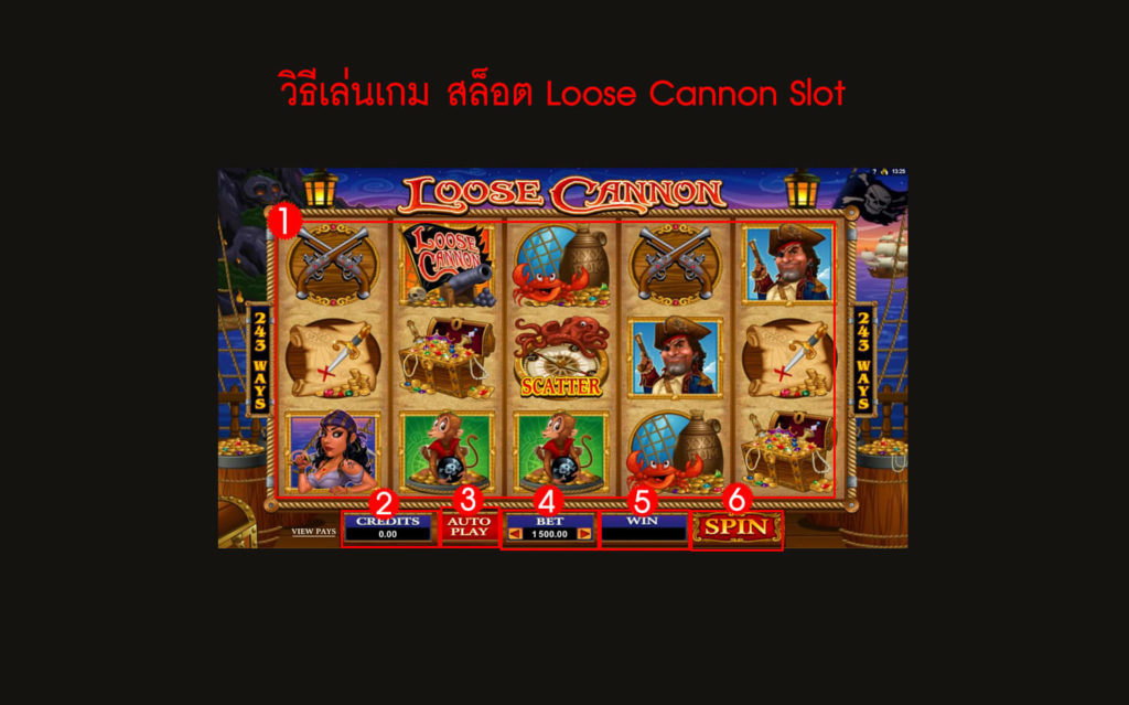 กฎกติกา วิธีเล่น สล็อต Loose Cannon Slot