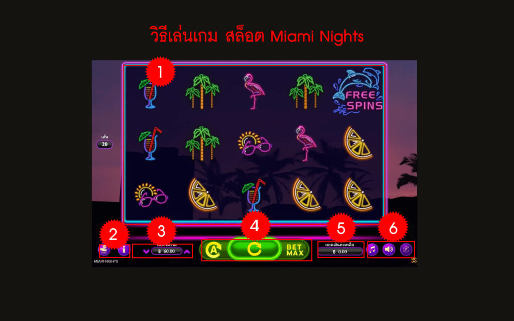 กฎกติกา วิธีเล่นสล็อต Miami Nights Slot