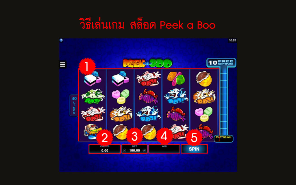 กฎกติกา วิธีเล่นสล็อต Peek a Boo Slot