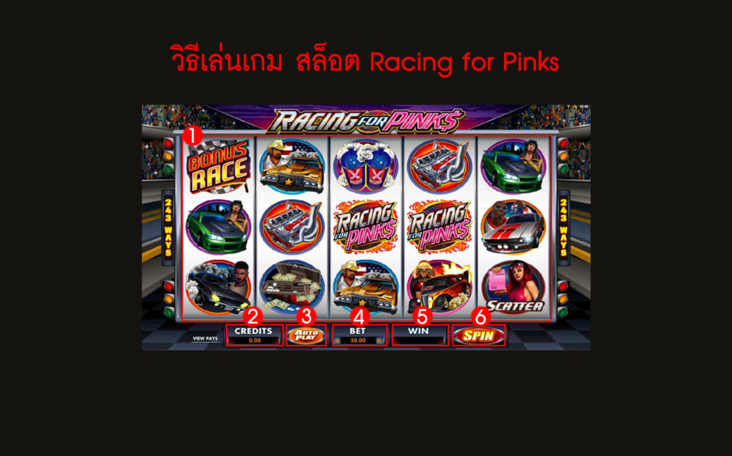 กฎกติกาวิธีเล่นสล็อต Racing for Pinks Slot