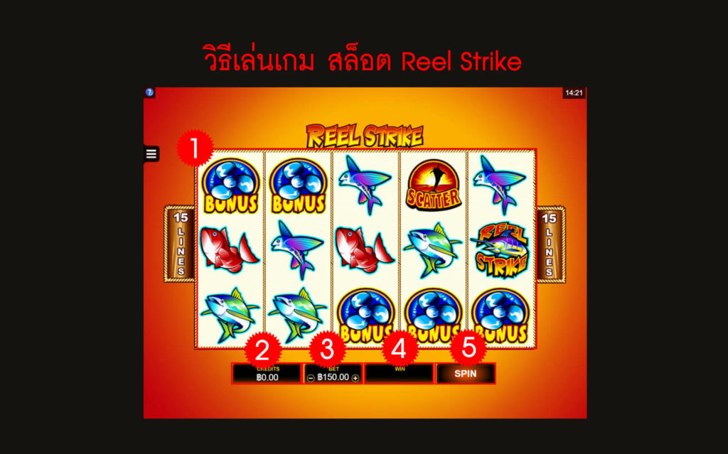 กฎกติกา วิธีเล่นสล็อต Reel Strike Slot