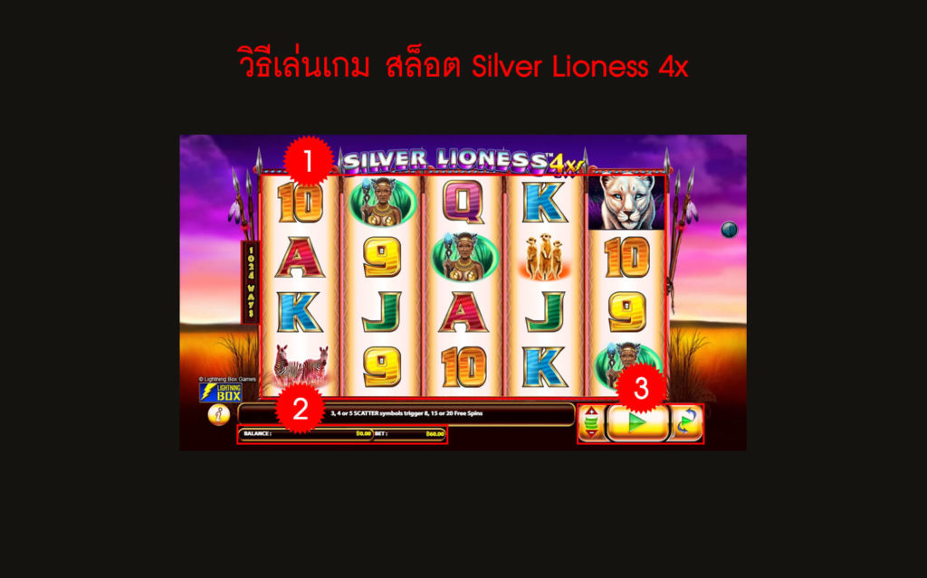 กฎกติกาวิธีเล่นเกมสล็อต Silver Lioness 4x