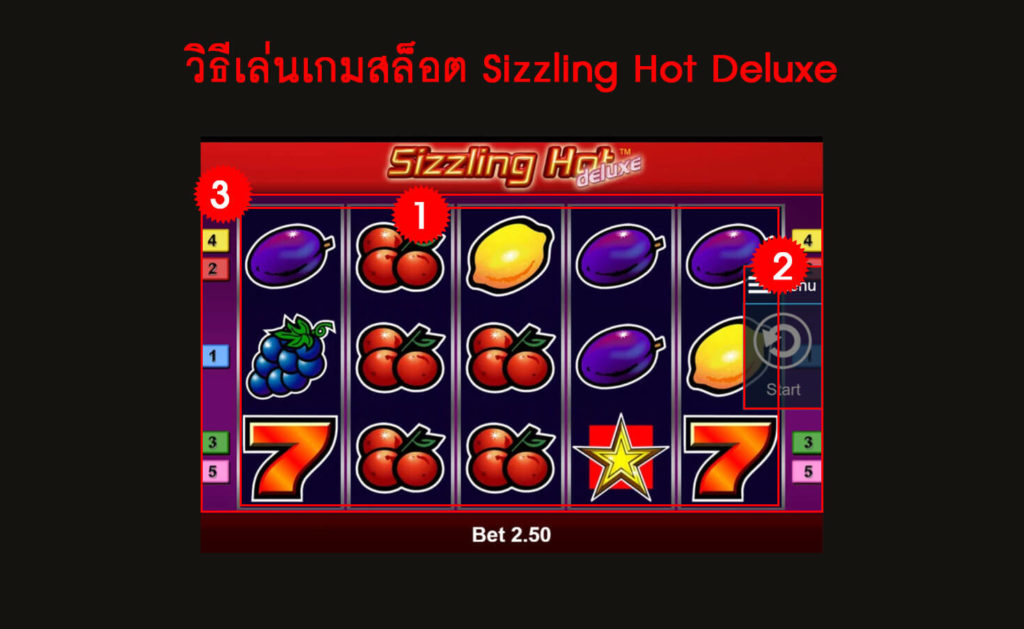 กฎกติกาวิธีเล่นเกมสล็อต Sizzling Hot Deluxe