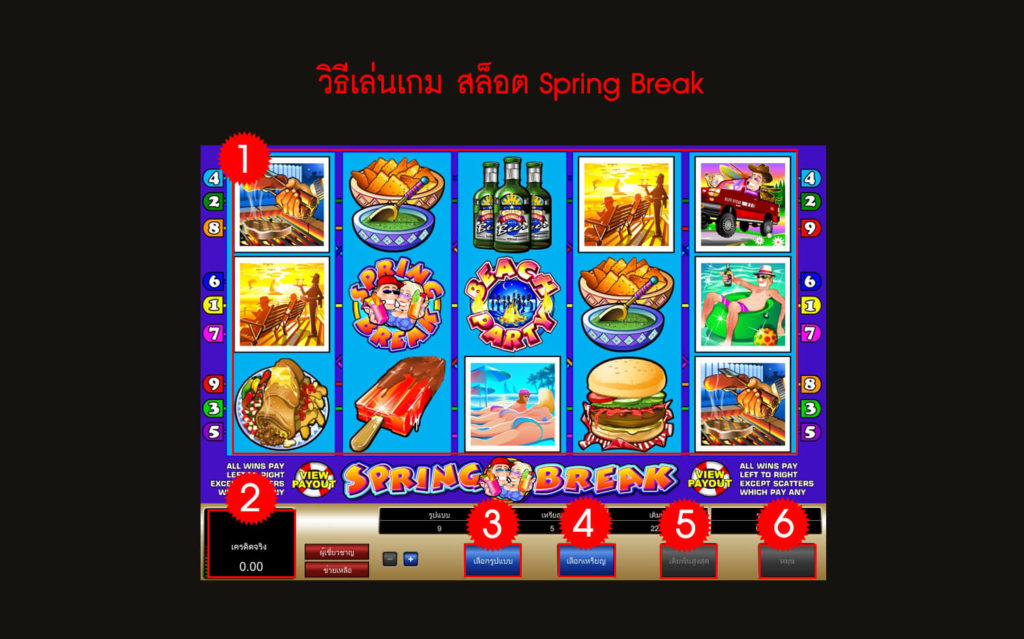 กฎกติกา วิธีเล่นสล็อต Spring Break Slot