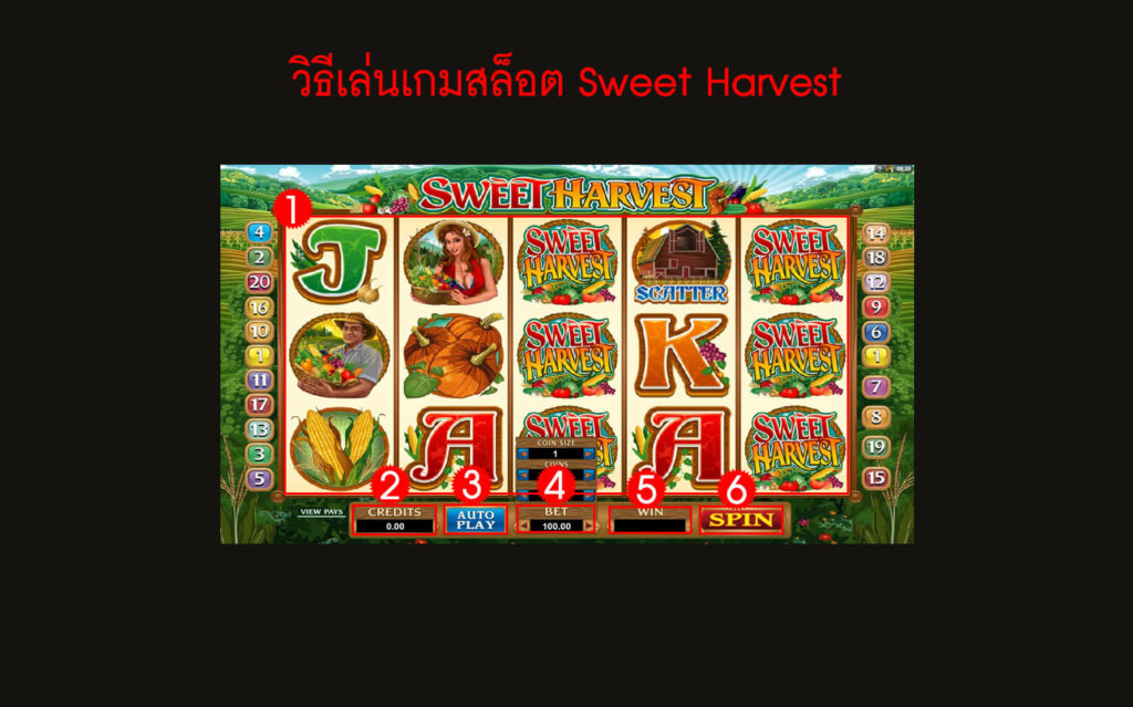 กฎกติกา วิธีเล่นสล็อต Sweet Harvest Slot