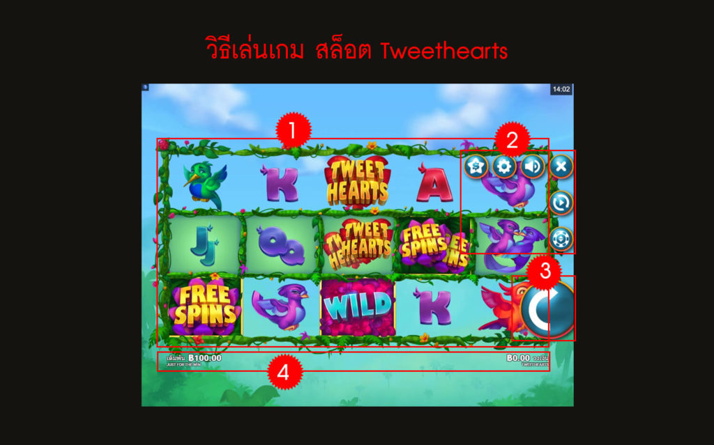 กฎกติกา วิธีเล่นสล็อต Tweethearts Slot