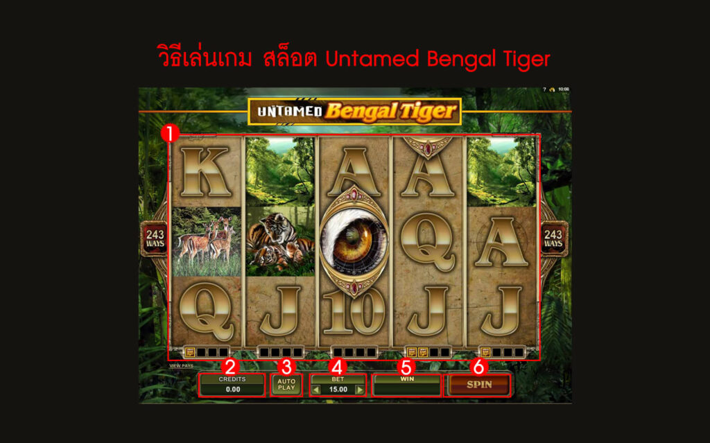 กฎกติกา วิธีเล่นสล็อต Untamed Bengal Tiger Slot
