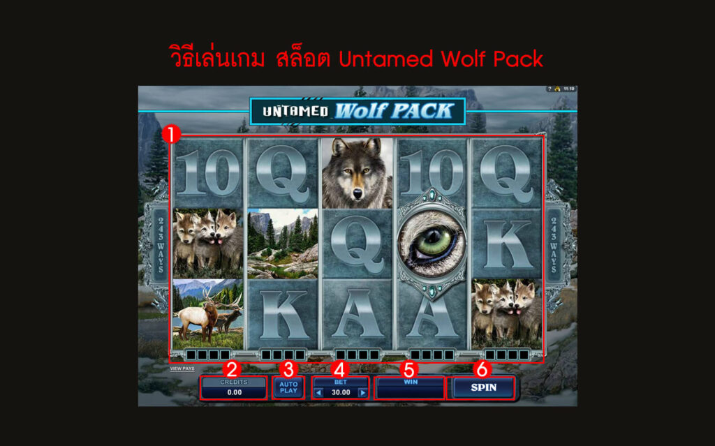 กฎกติกา วิธีเล่นสล็อต Untamed Wolf Pack Slot