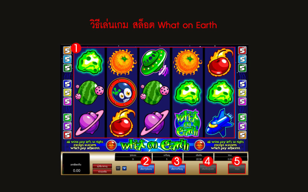กฎกติกา วิธีเล่นสล็อต What on Earth Slot