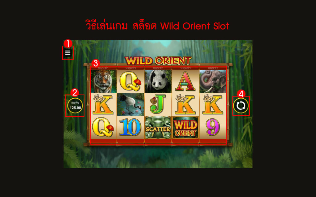 กฎกติกา วิธีเล่นสล็อต Wild Orient