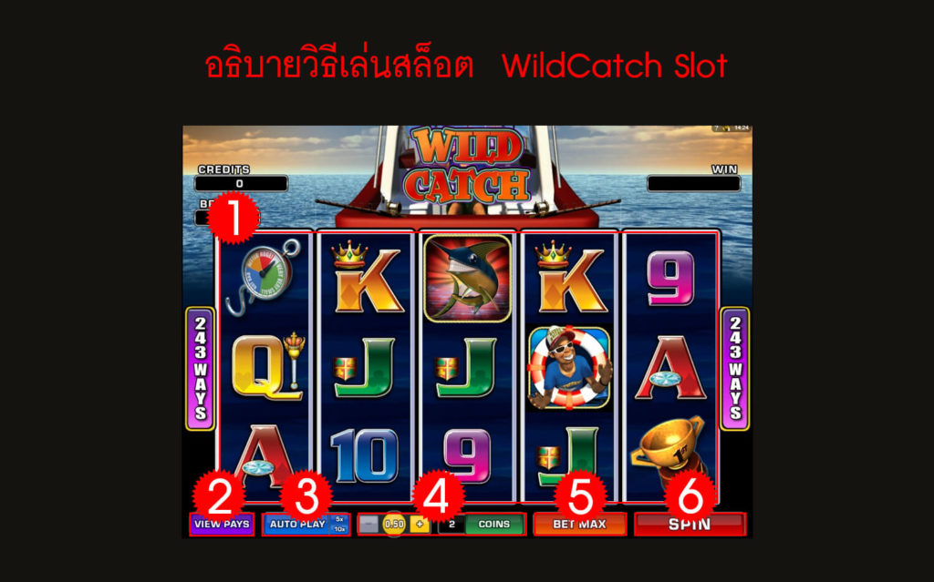 กฎกติกา วิธีเล่นสล็อต Wild Catch Slot 