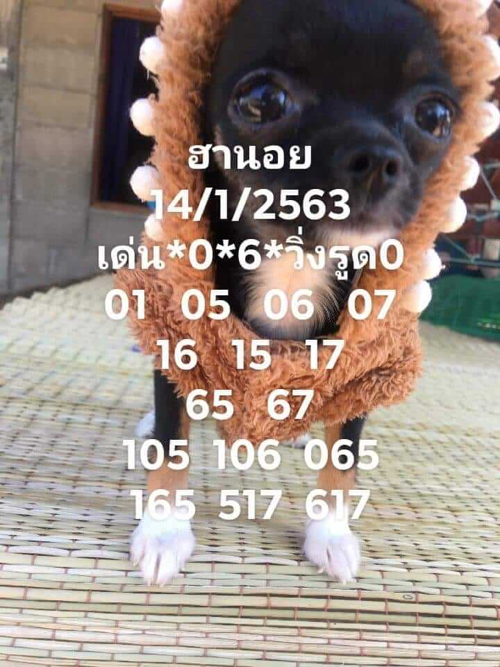 หวยฮานอย 14/1/63 ชุดที่10