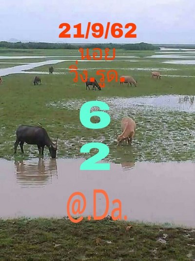 หวยฮานอย 21/9/62