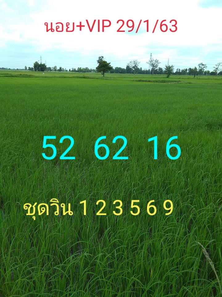 หวยฮานอย 29/1/63 ชุดที่19