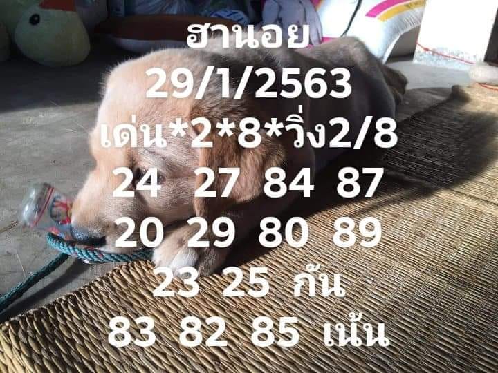 หวยฮานอย 29/1/63 ชุดที่23