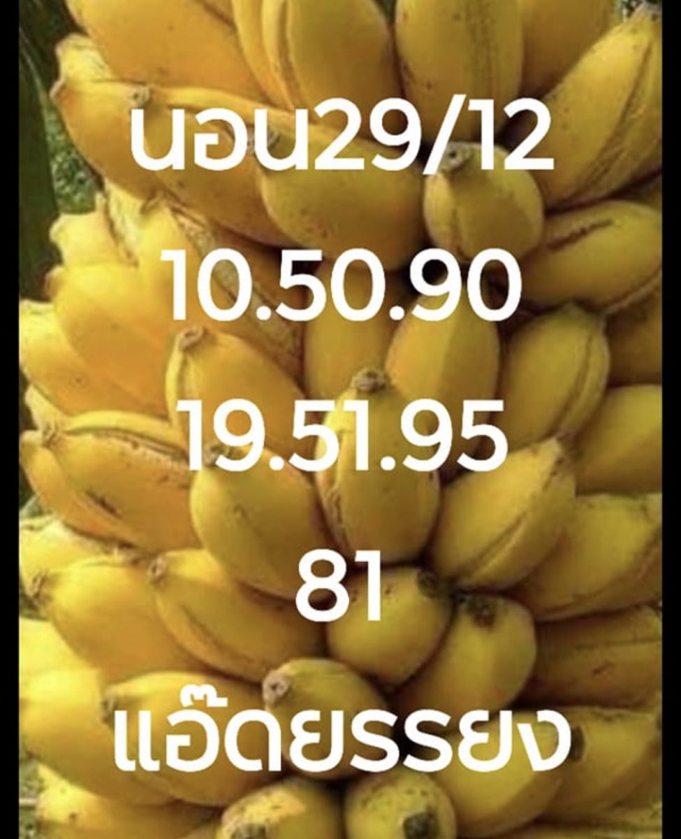 หวยฮานอย 29/12/62 ชุดที่19